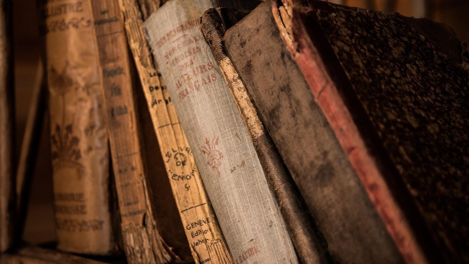 Amazon Destroys Rare Books to Train AI Models