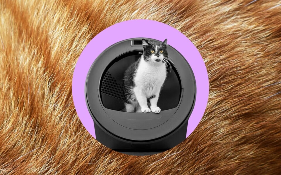 Litter-Robot 5 Pro Review: AI Cat Tracking Falls Short