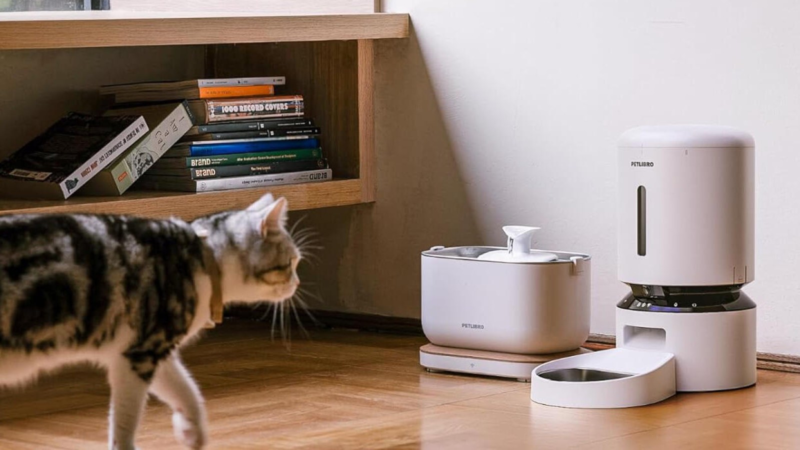 Petlibro Outage Leaves Some Pet Feeders Inoperable