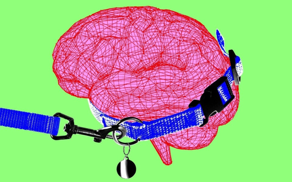 Anthropic CEO Calls for Slower AI Development in 2026