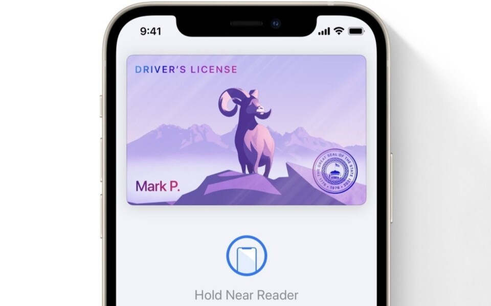 153 Million Driver’s Licence Scans Sold on Dark Web