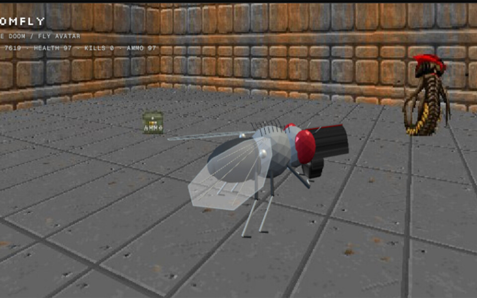 Fruit Fly Brain Plays Doom in New Simulation Project