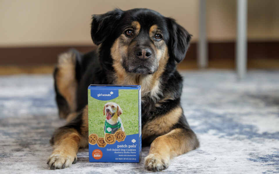 Girl Scouts Launch Dog Treats and Allergy-Safe Cookies