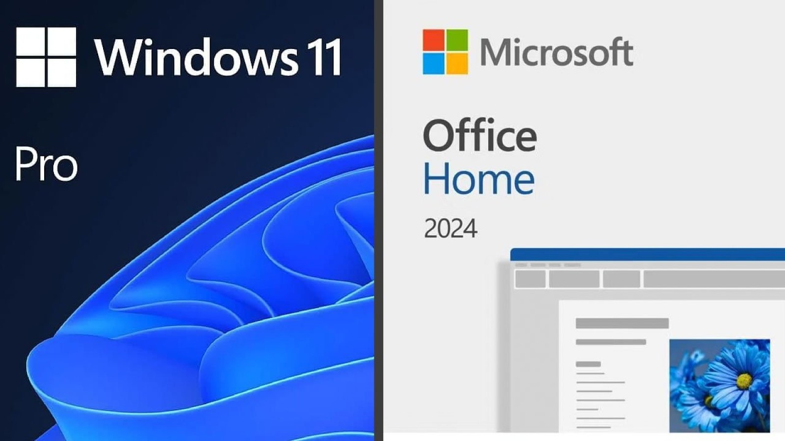 Microsoft Windows 11 and Office for Mac Deals From £8