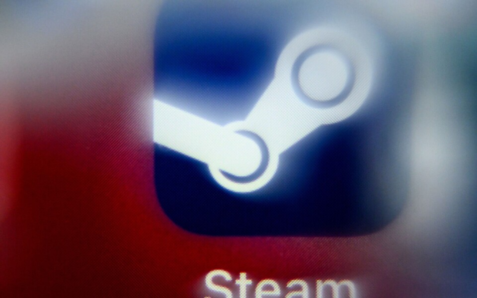 Steam Leak Exposes 12TB of Game Data From 2003 to 2013