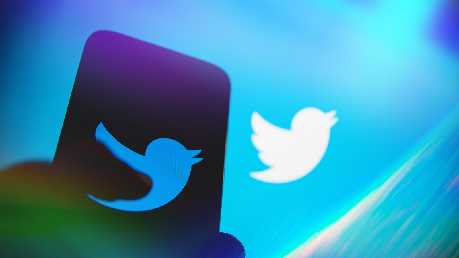 X Ordered to Release Twitter Bird Logo in Trademark Case - Twitter trademark