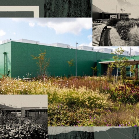 Microsoft Uses Biomimicry to Soften Data Centre Impact