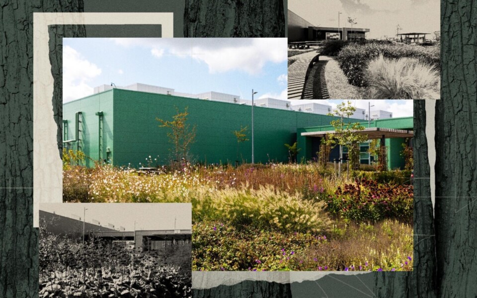 Microsoft Uses Biomimicry to Soften Data Centre Impact