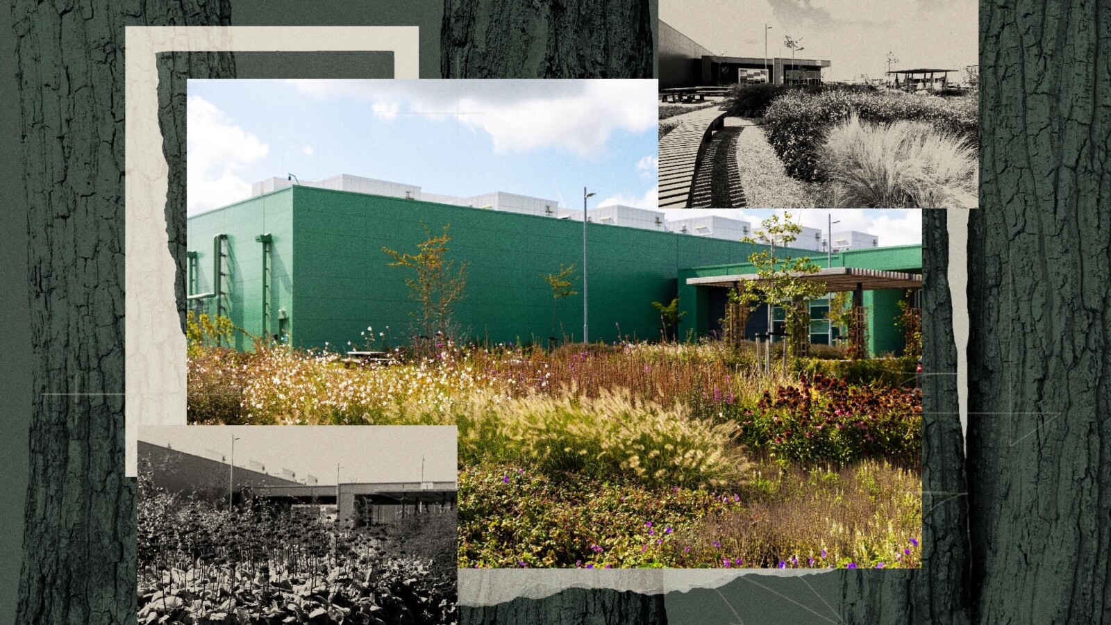 Microsoft Uses Biomimicry to Soften Data Centre Impact - Microsoft data centres